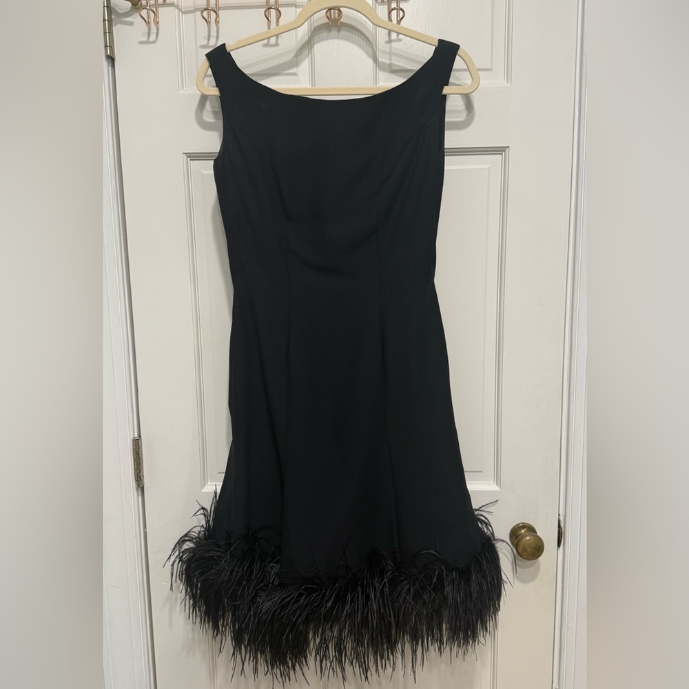 Elegant VintageBlack Feather Hem Dress